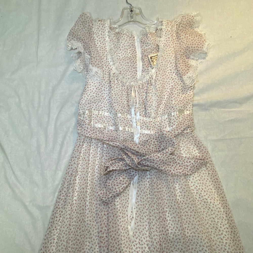Vintage 1981 Gunne Sax By Jessica‎ Floral Prairie Maxi Dress Lace Cottage Large - Picture 6 of 14